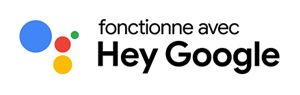 Icon Hey Google